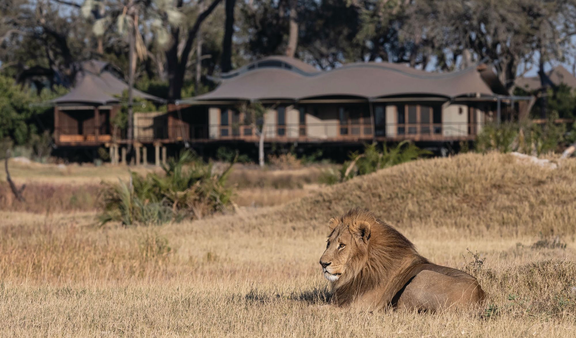 Xigera Safari Lodge - Sarasota Travel Agent