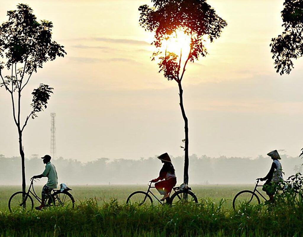 Cycling through the Mekong Delta