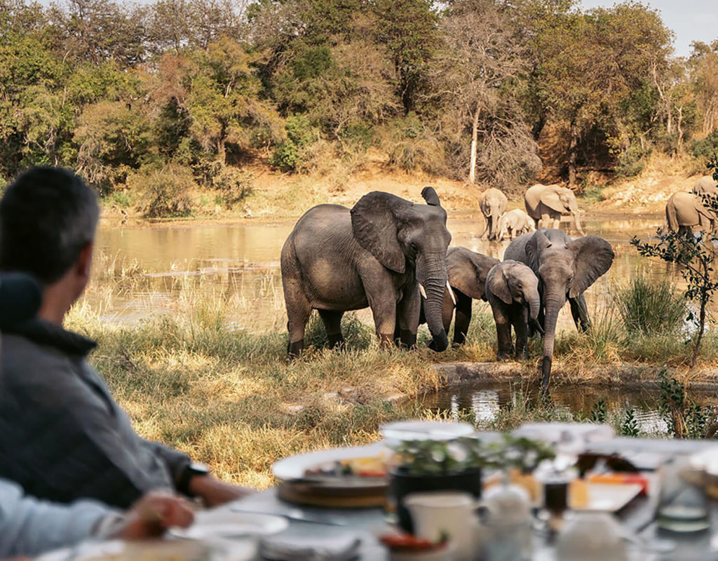 Simbavati River Lodge enjoys a unique setting on the banks of the Kruger Park’s Nhlaralumi River. One of its winning charms is the popular waterhole right below the dining deck, much loved by elephant.
