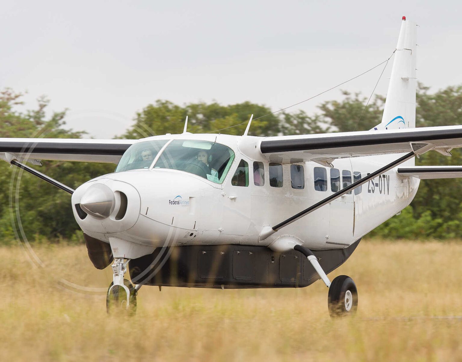 Small white propeller plane parked on grass.