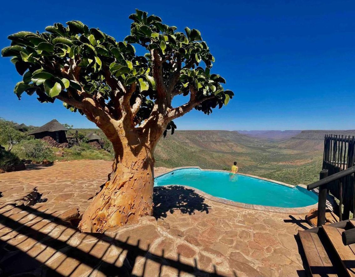 A unique tree stands by a curved pool overlooking a scenic mountain view.