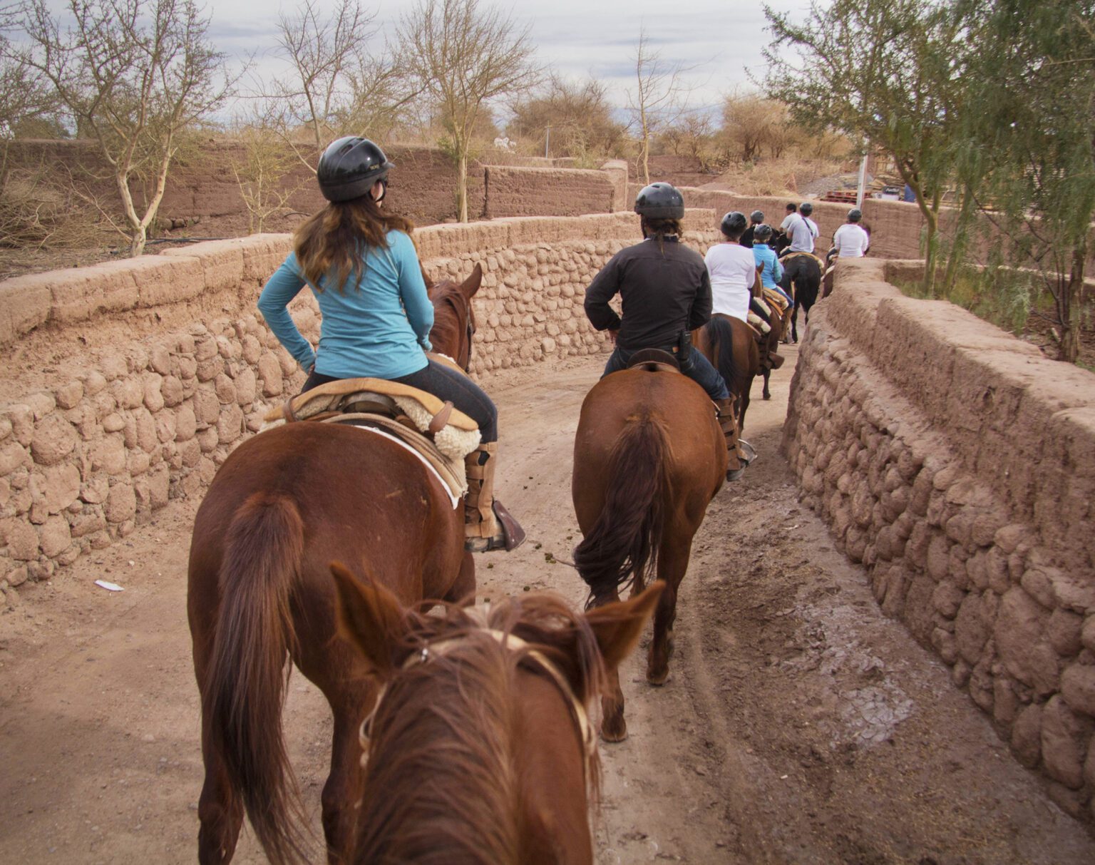 People riding horses along a narrow, tree-lined path with rustic stone walls.