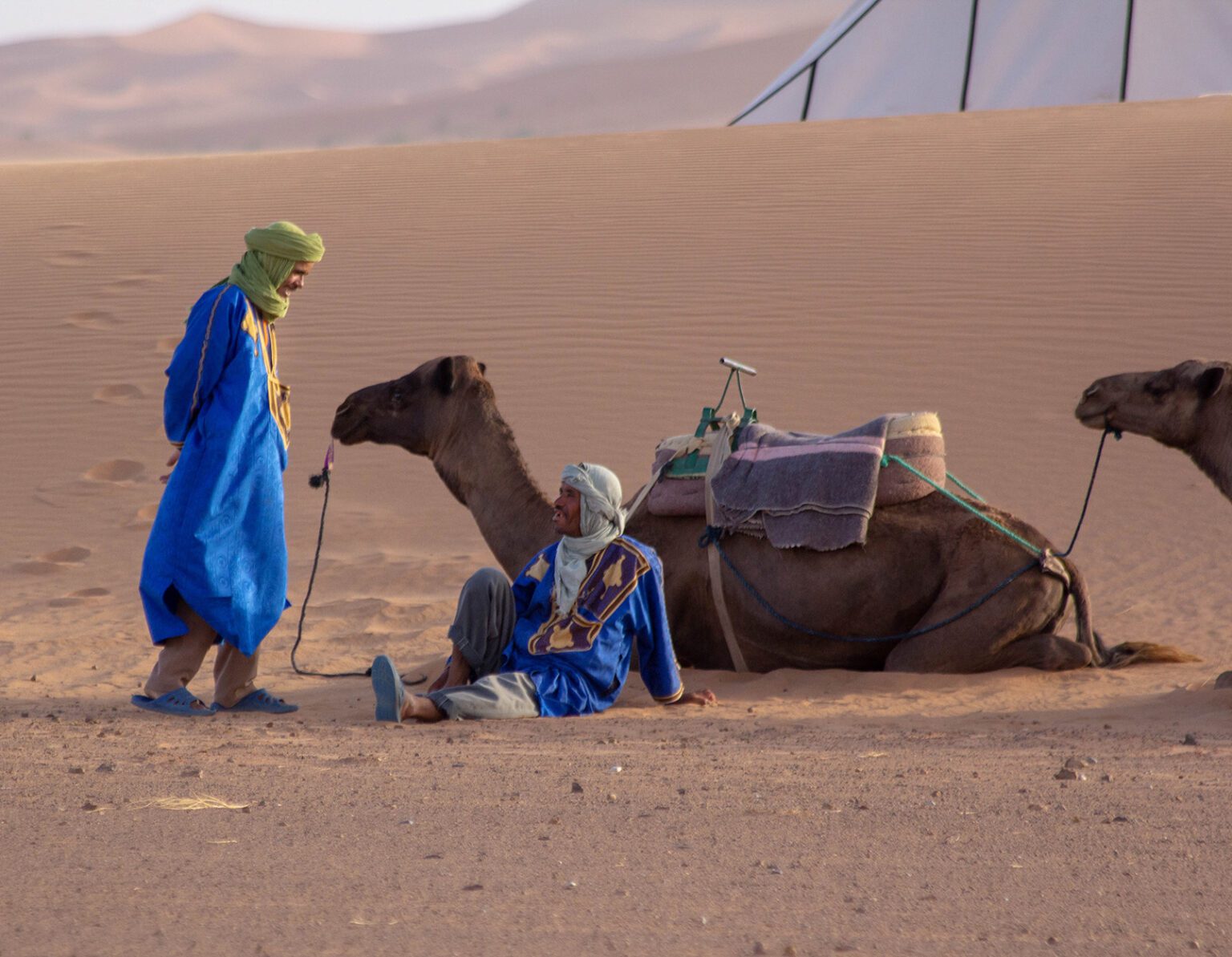 Two men in blue robes with a resting camel in the desert.
