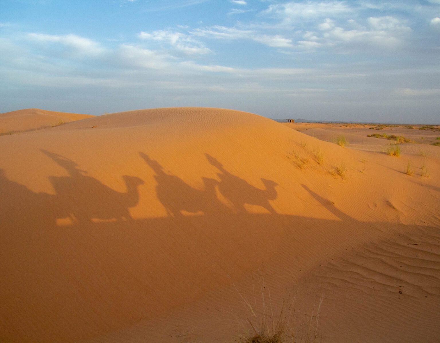 Shadows of riders on camels crossing golden sand dunes at sunset.