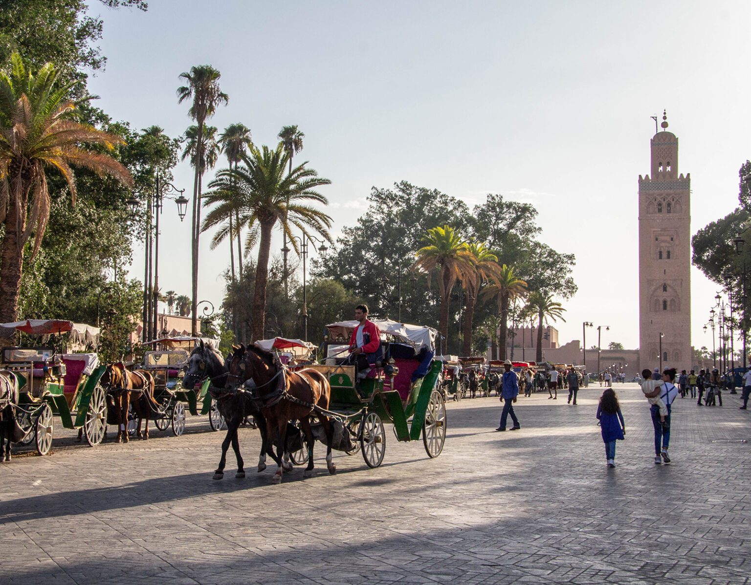 Horse-drawn carriage in a sunny, palm-lined square with historic architecture.