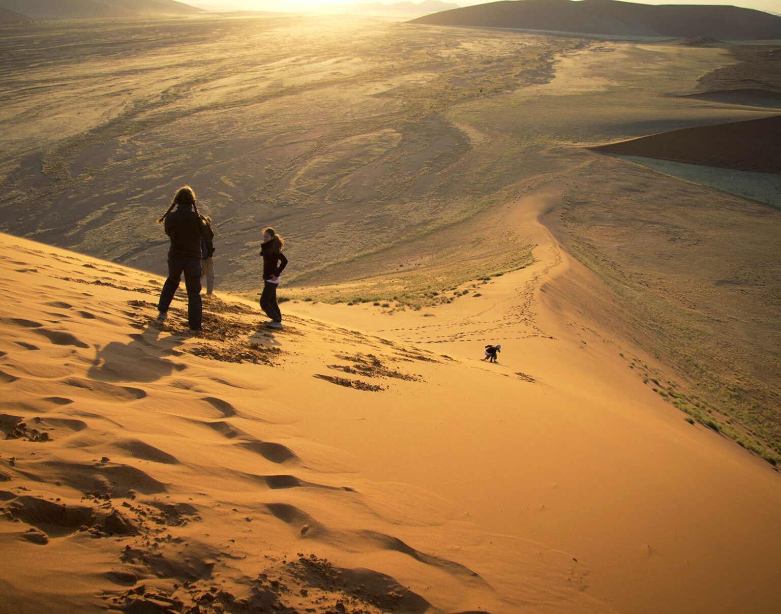 Two people walking on sunlit sand dunes casting long shadows.