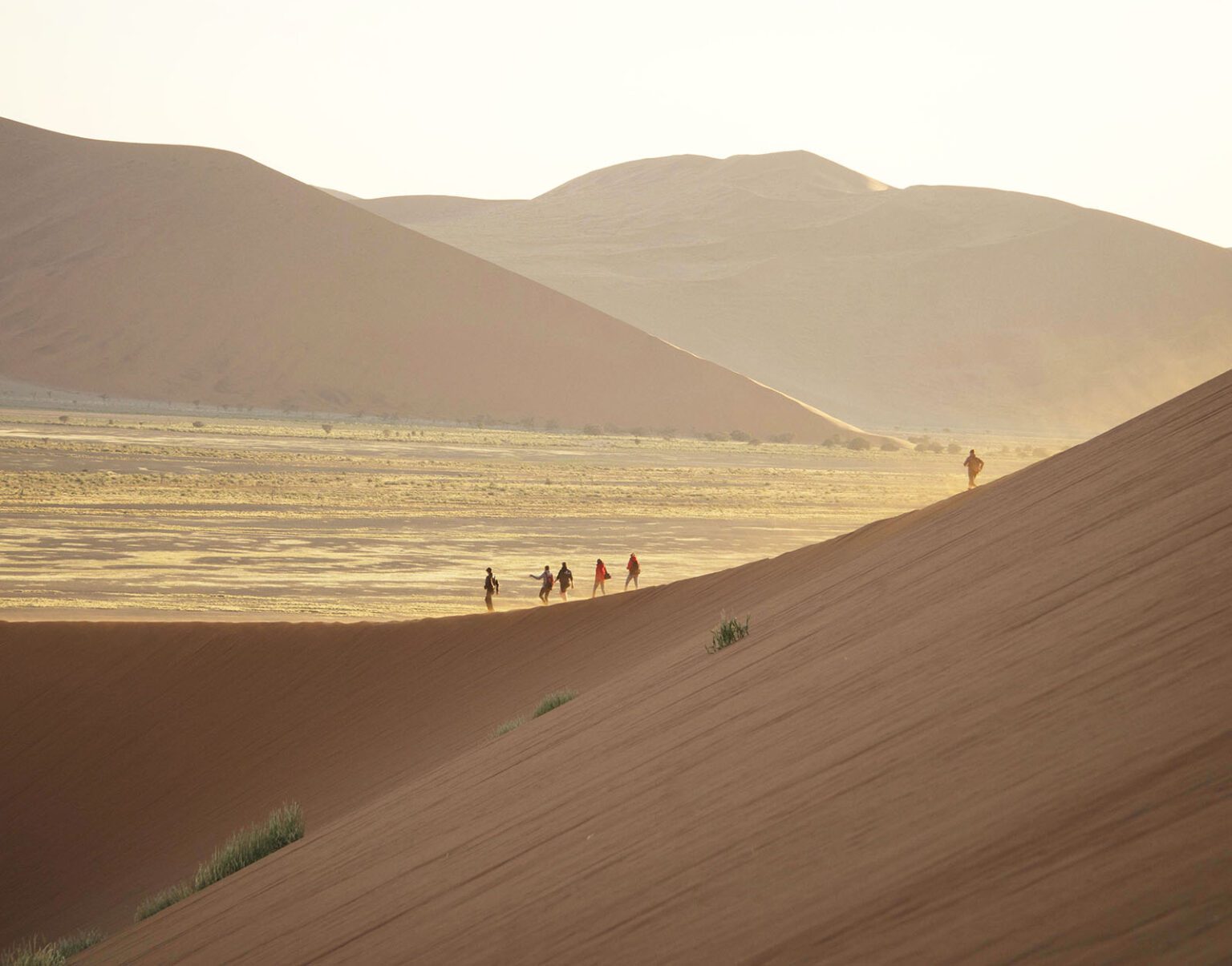 People walking along a vast desert landscape with large sand dunes.