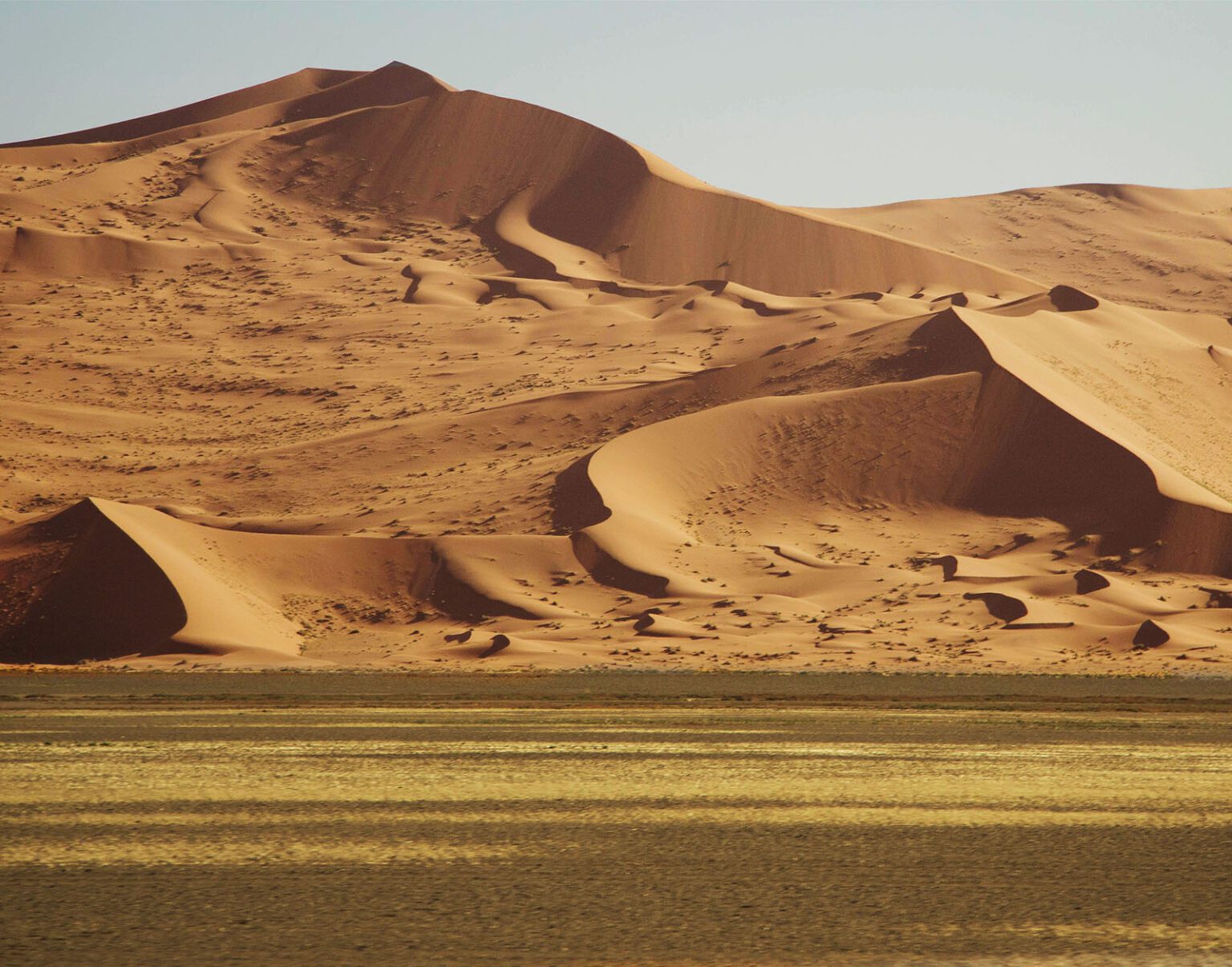 Vast sand dunes rise behind a flat grassy plain under a clear sky.