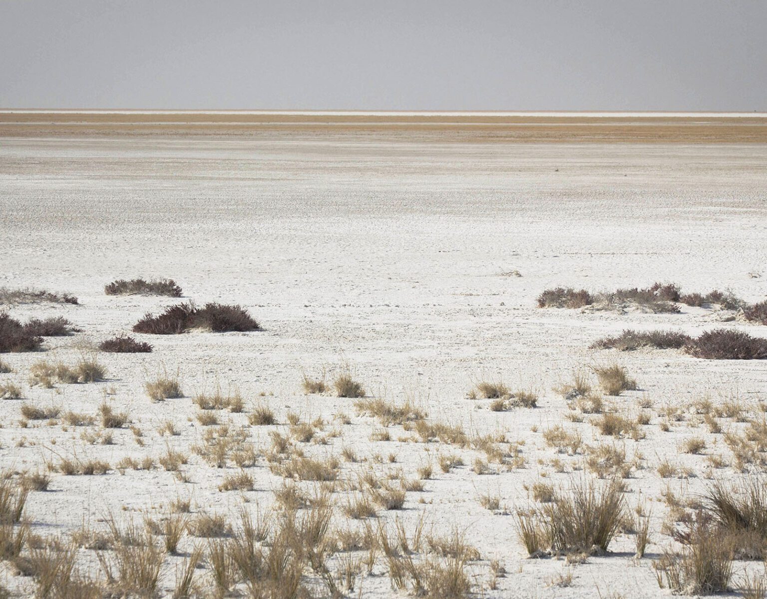 A dry salt flat with scattered grass patches under a clear sky.