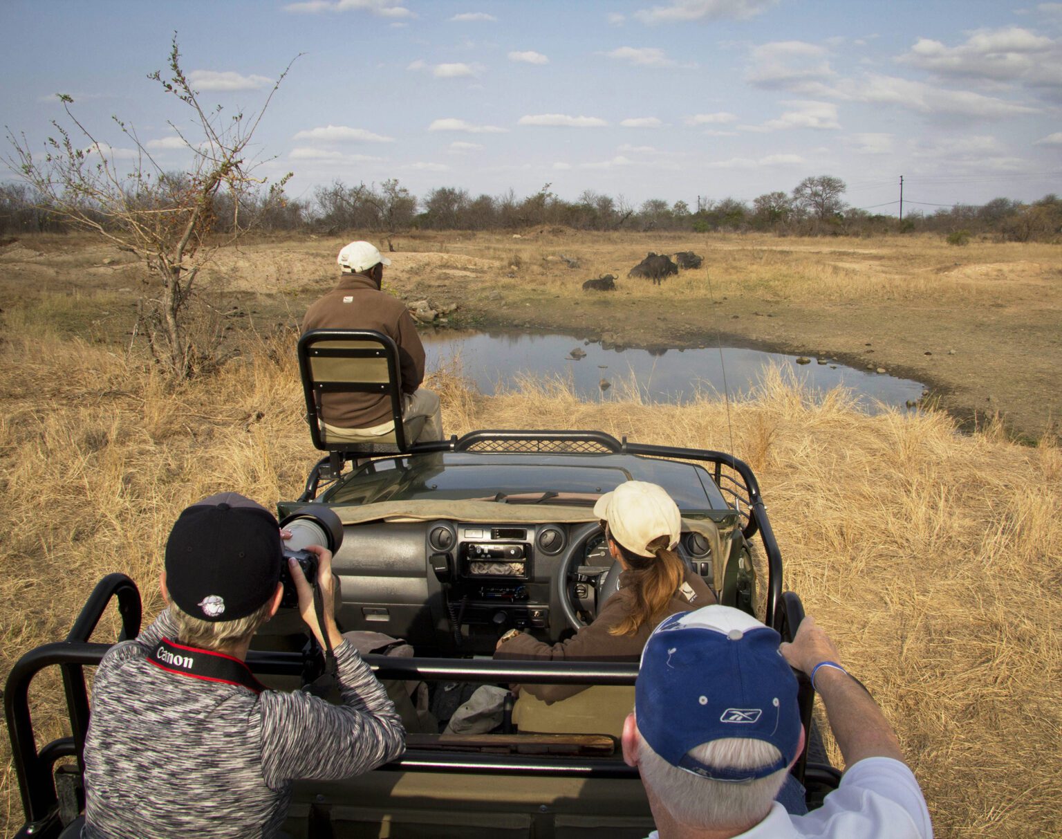 Tourists on a safari jeep photographing wildlife near a waterhole.