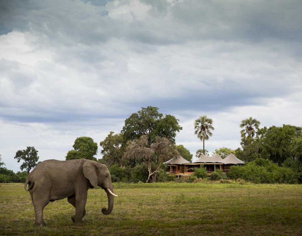 Elephant walking near a safari lodge under a cloudy sky.