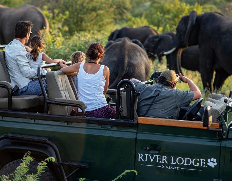 Tourists watch elephants from a jeep at River Lodge.