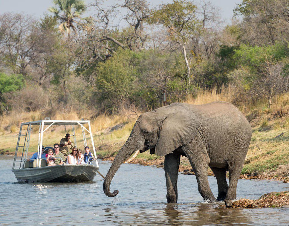 Elephant drinking water near a boat with tourists in a forested area.