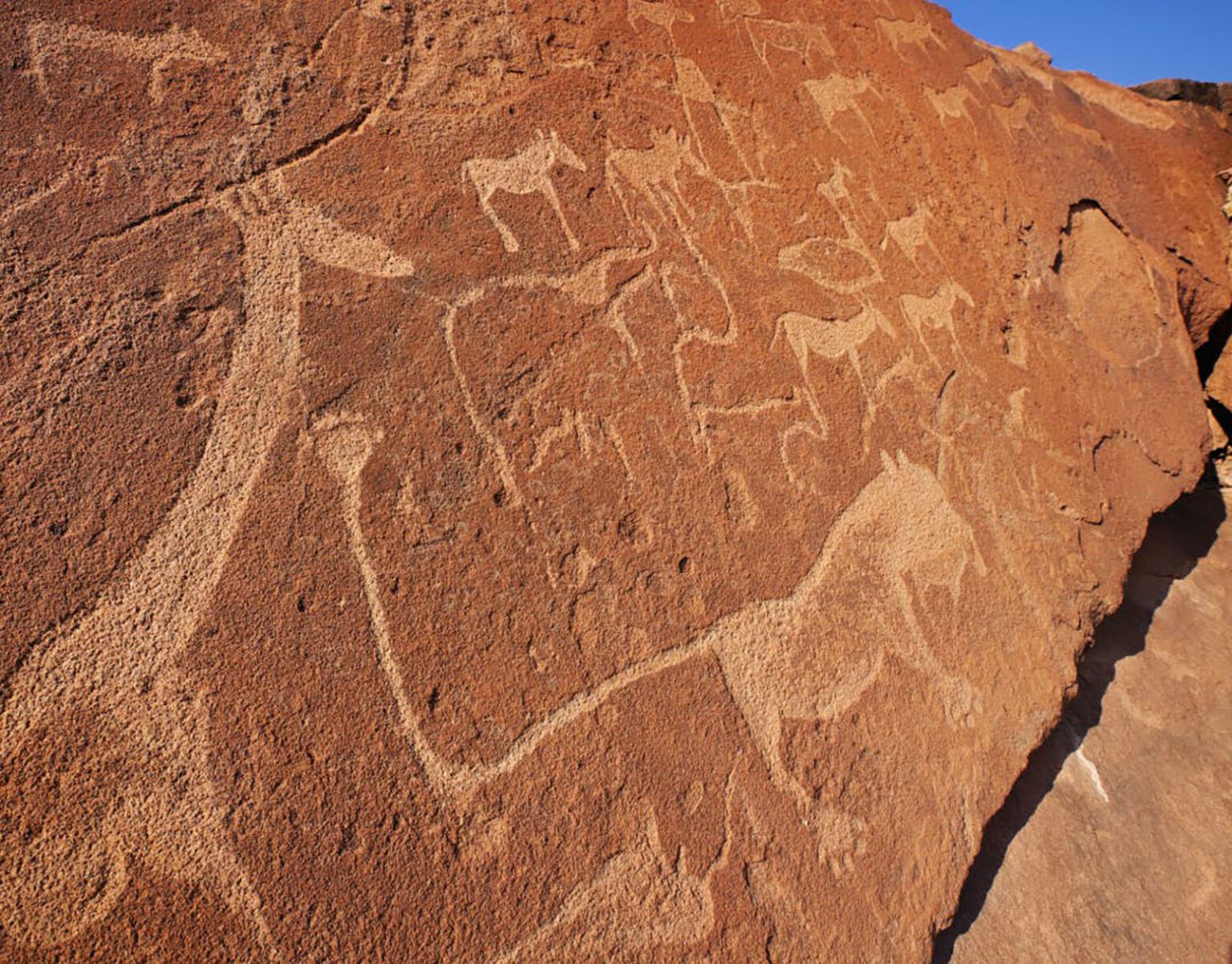 Ancient petroglyphs depicting animals on a rocky surface.