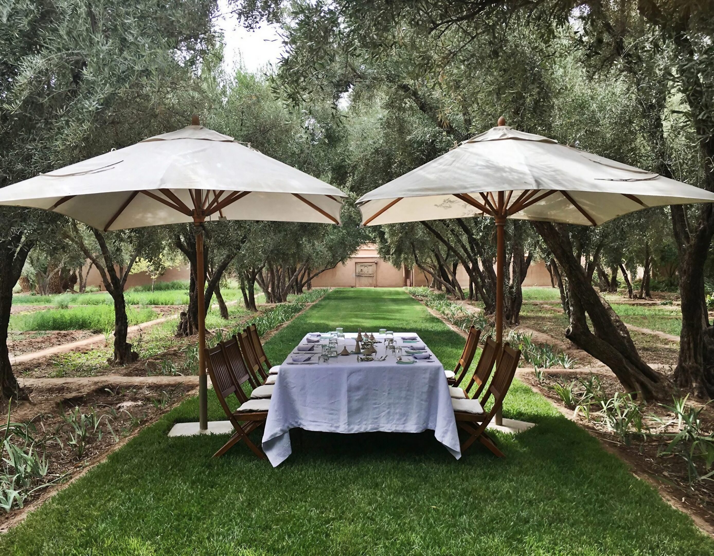 A table set for dining between two umbrellas in a garden.