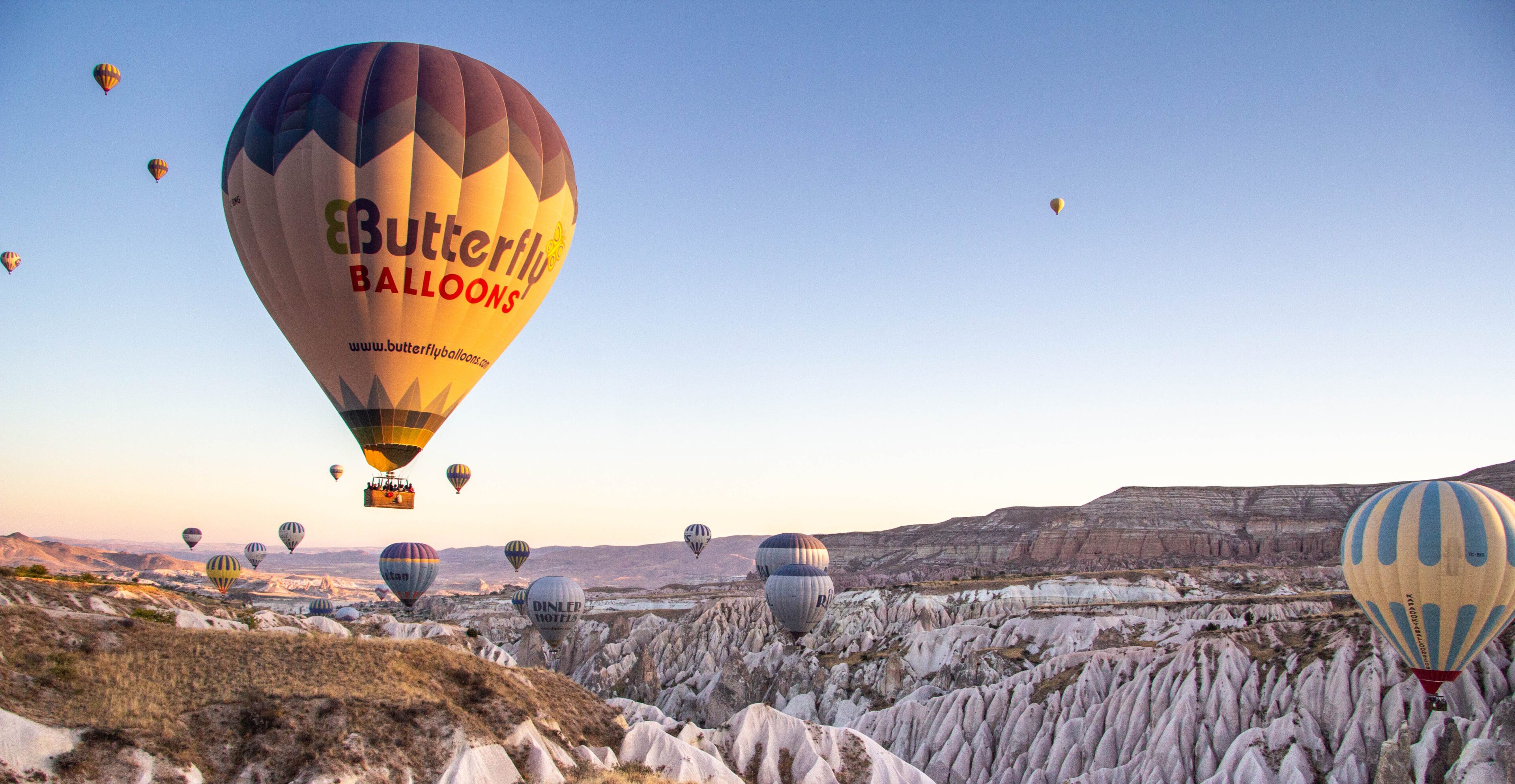 Colorful hot air balloons soaring over a rocky landscape at sunrise.