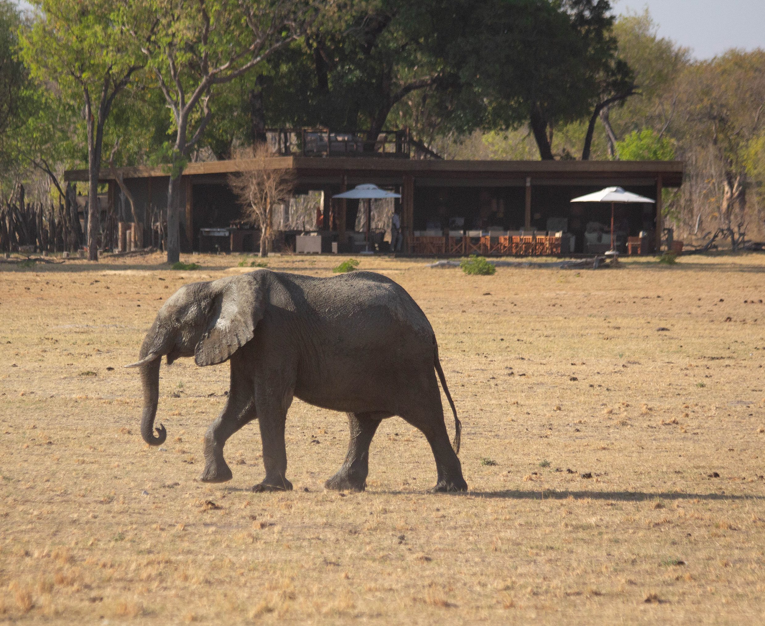 KeyRatsAfrica2019-151