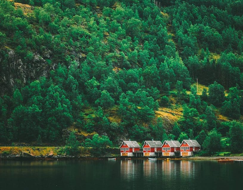 Red cabins on fjord shore with dense forest